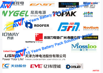 Batería de AWT y máquina del envejecimiento de la batería del litio del equipo de prueba de la célula 100V 40A